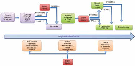 EGFR-TKI辅助治疗生存分析
