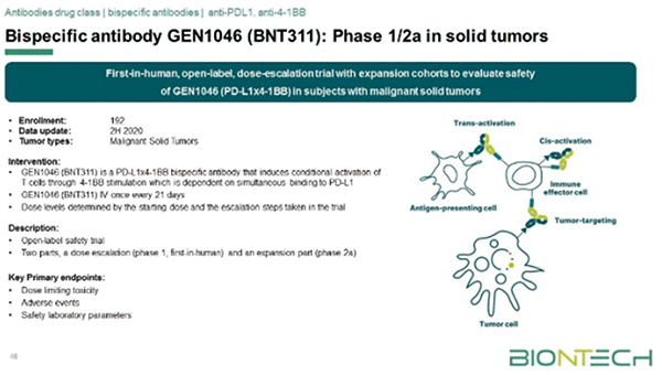 双靶新药 GEN1046 对多种晚期实体瘤有效