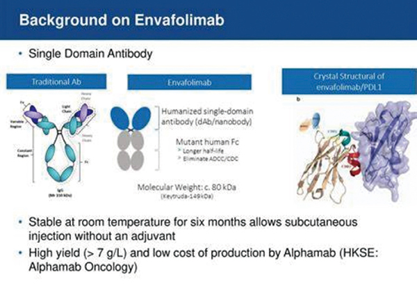 MSI-H/dMMR 型晚期肿瘤 多线失败后 Envafolimab 或安全有效