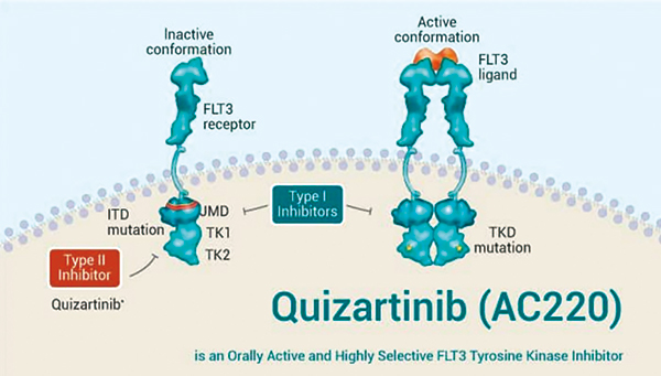 新发的FLT3-ITD阳性的AML 联用Quizartinib对比单用化疗有OS优势