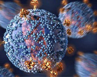 美国HIV感染者患肛门癌风险显著增加