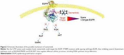 三线治疗EGFR T790M突变的NSCLC Osimertinib或优于多西他赛-贝伐珠单抗