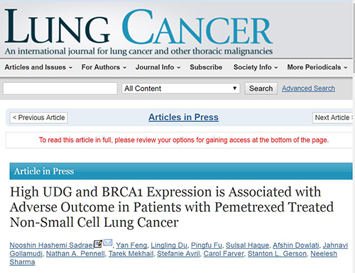 培美曲塞治疗NSCLC患者时UDG和BRCA1高表达与不良结局相关