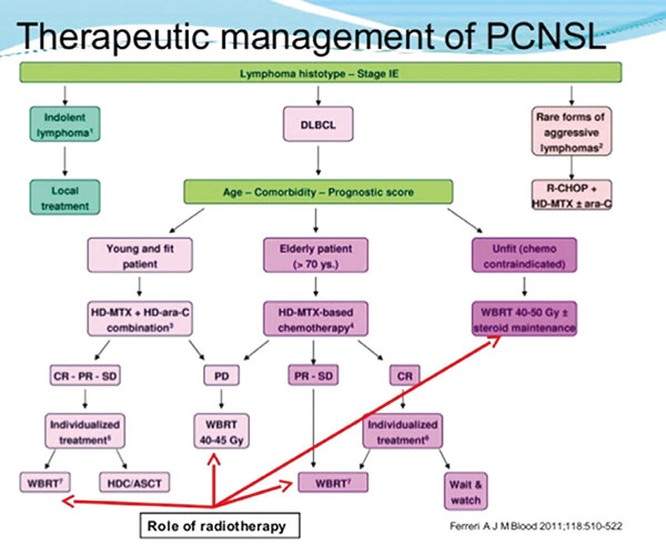 ≤60岁成人PCNSL ASCT或是优于WBRT的巩固治疗选择