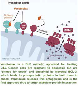 Venetoclax-Obinutuzumab初治CLL或更优