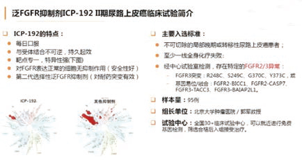 CSCO首个尿路上皮癌指南发布