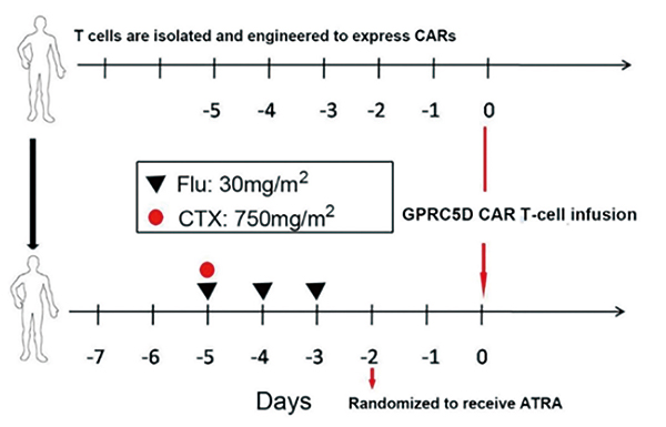 复发或难治性MM 抗GPRC5D CAR T细胞或安全有效